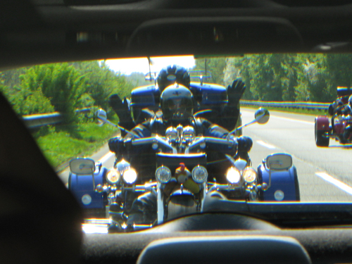 [Image: trichopper.jpg]