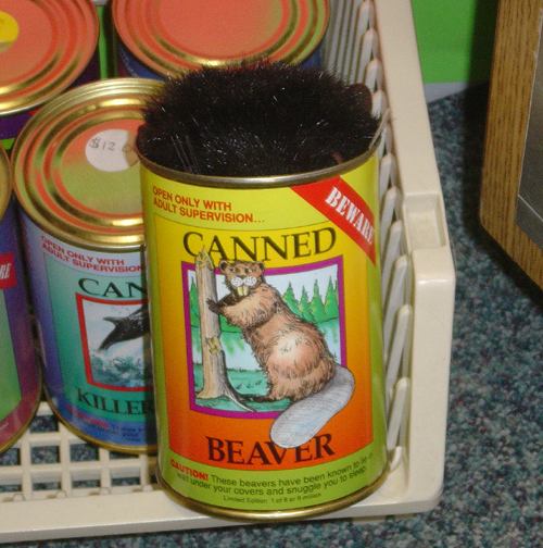 [Image: beaver.jpg]